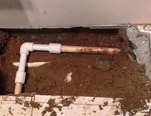 天门测漏水哪家好