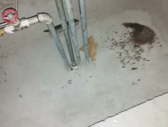 天门卫生间测漏水价格明细